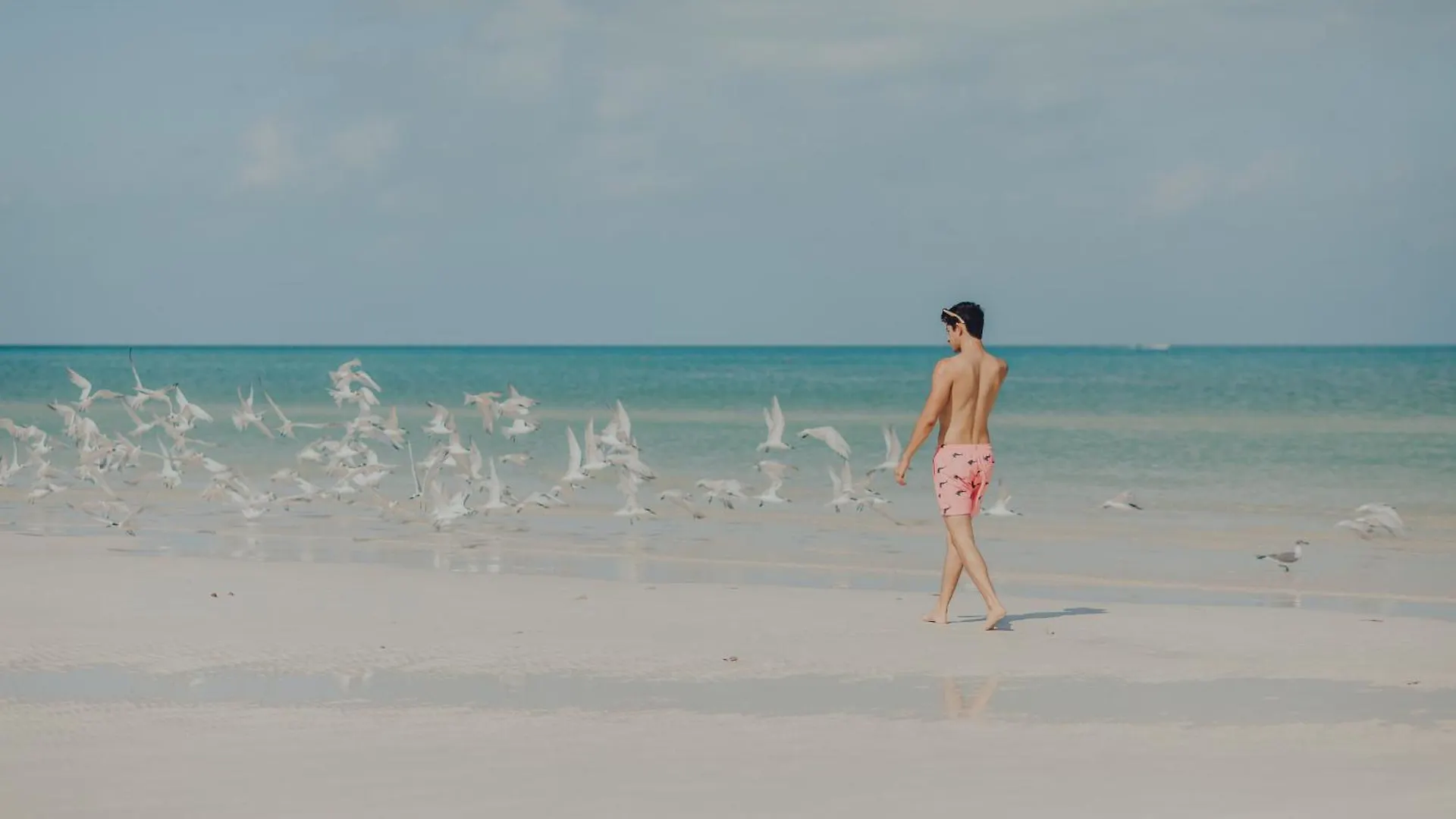 Villas Caracol Ilha Holbox México